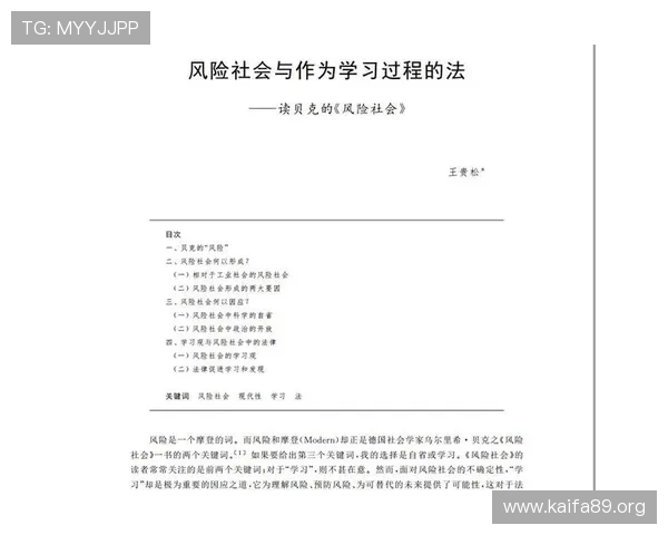 高风险的中文含义及其在现代社会中的应用